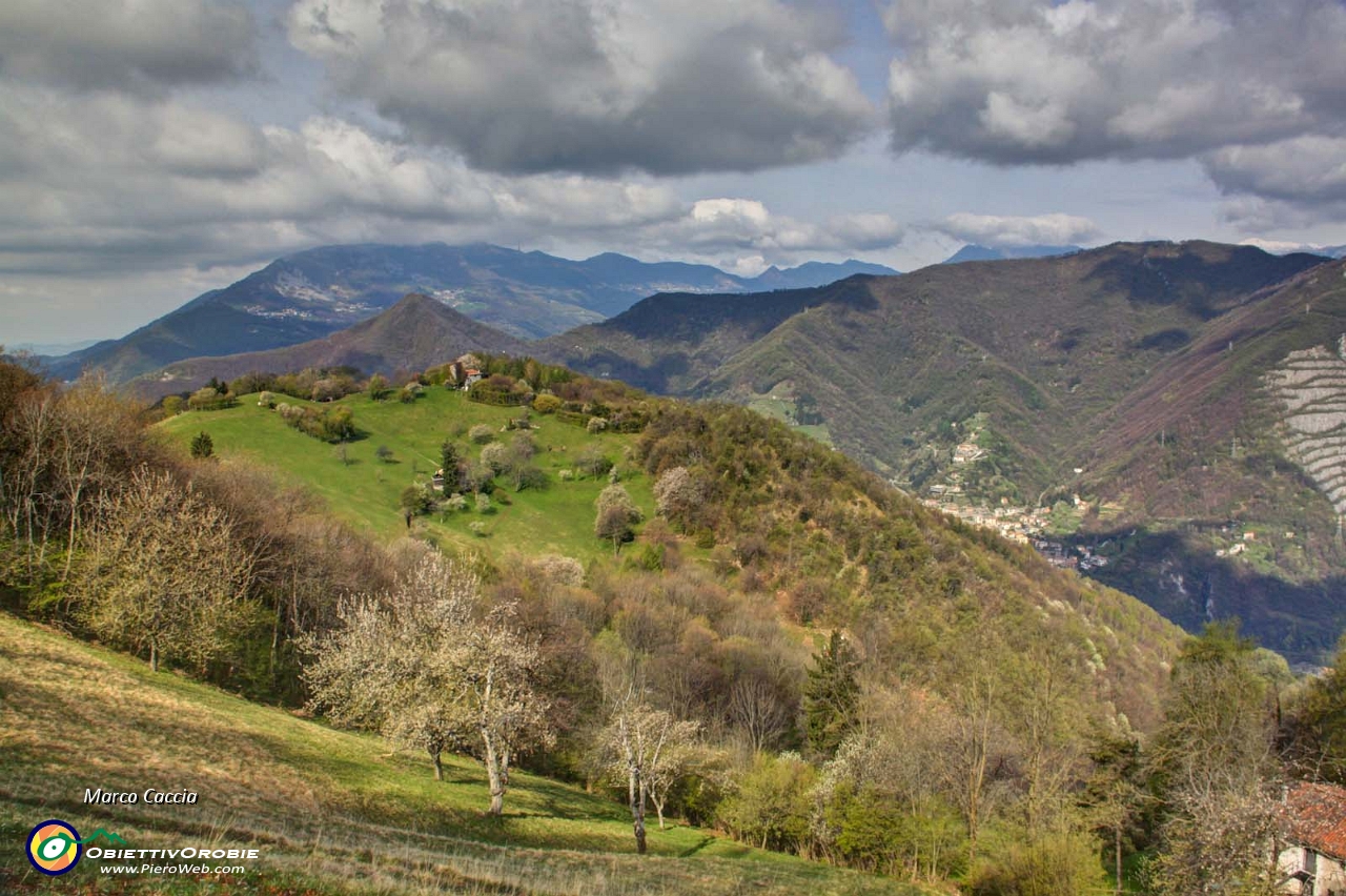Canto Alto-Prati parini-Gionc-14.JPG